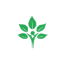 Seeds Financial Group